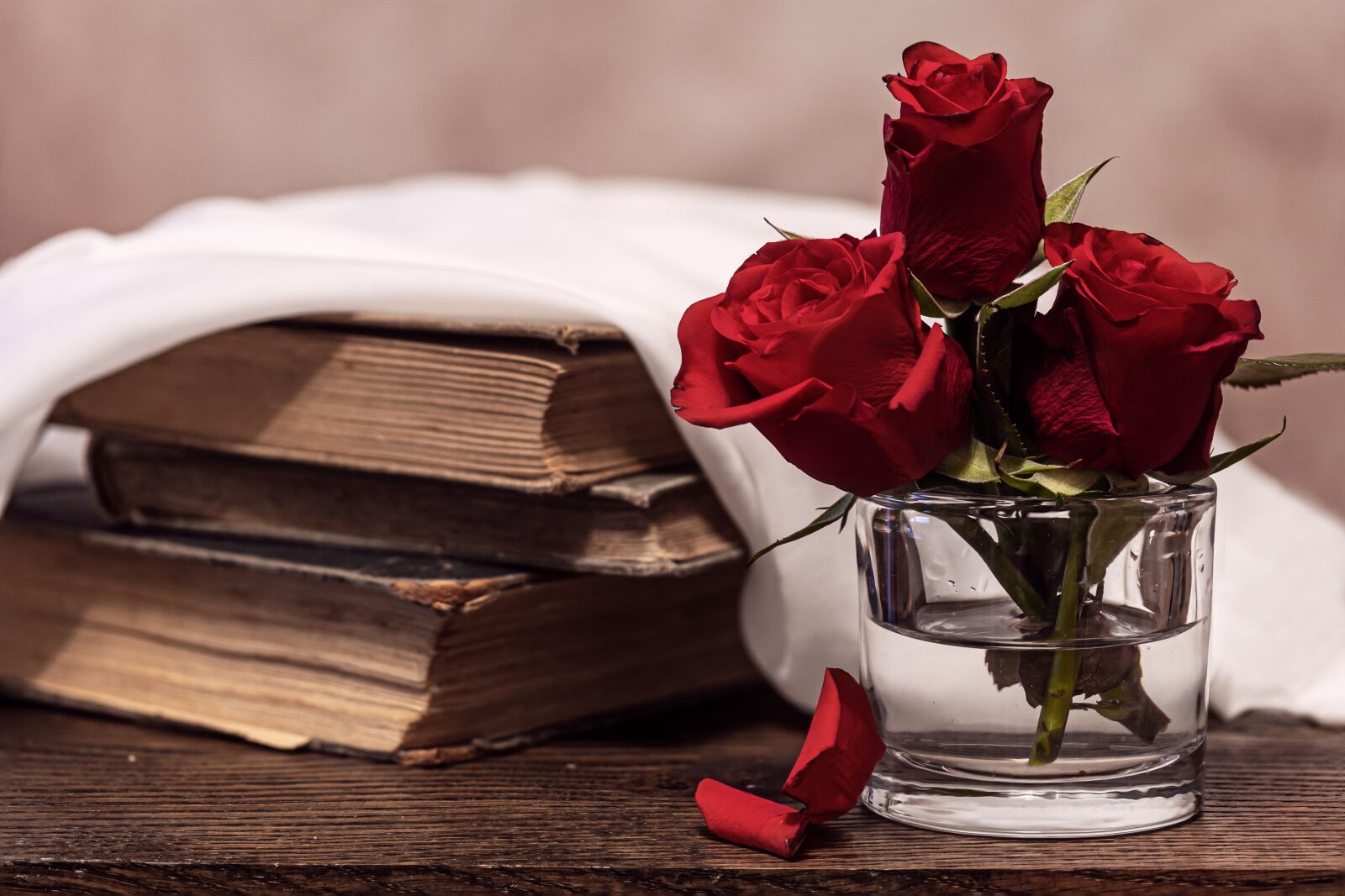 Canon EOS R sample photo. Roses, red, old books photography