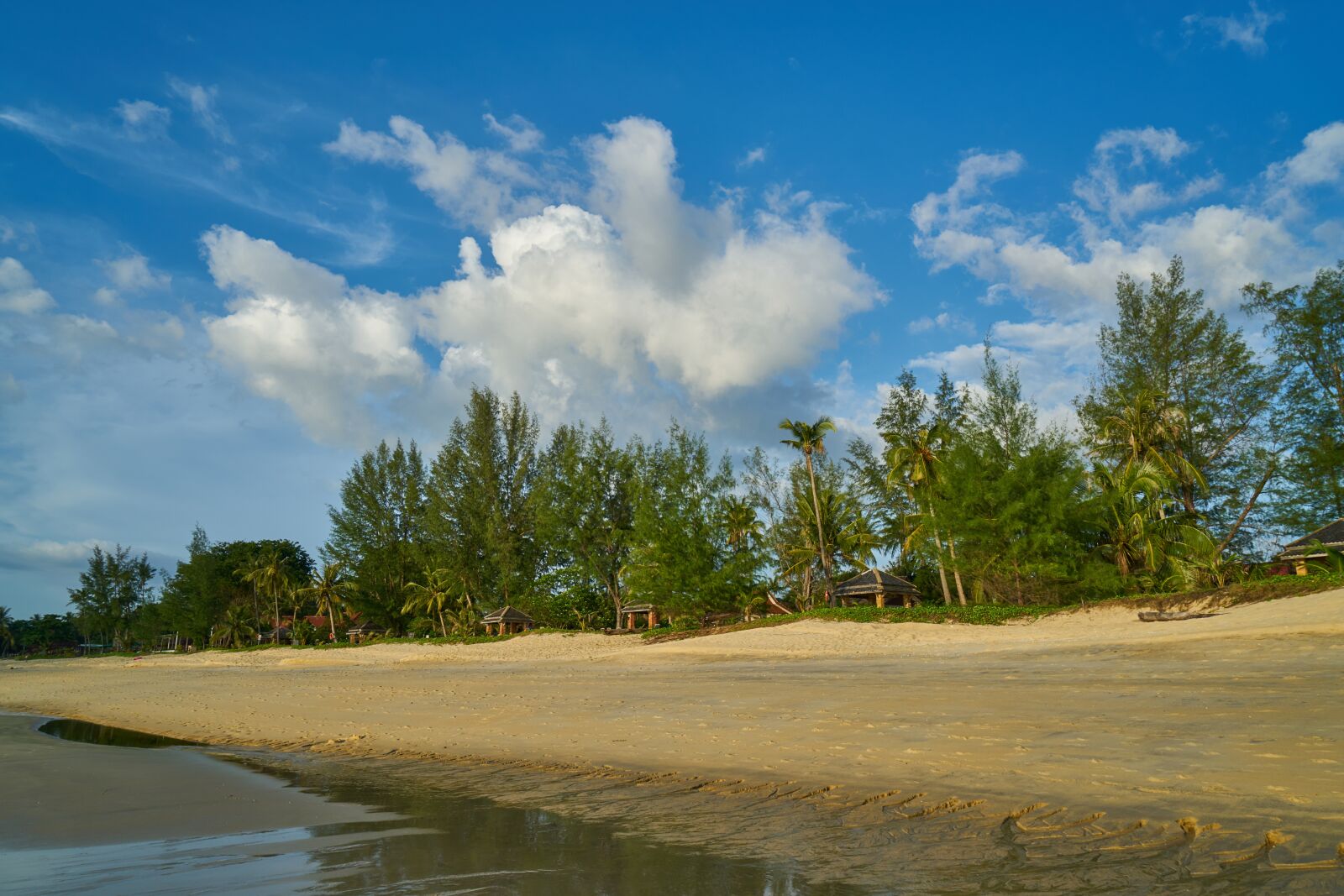 Sony a7R II sample photo. Beach, marine, nature photography