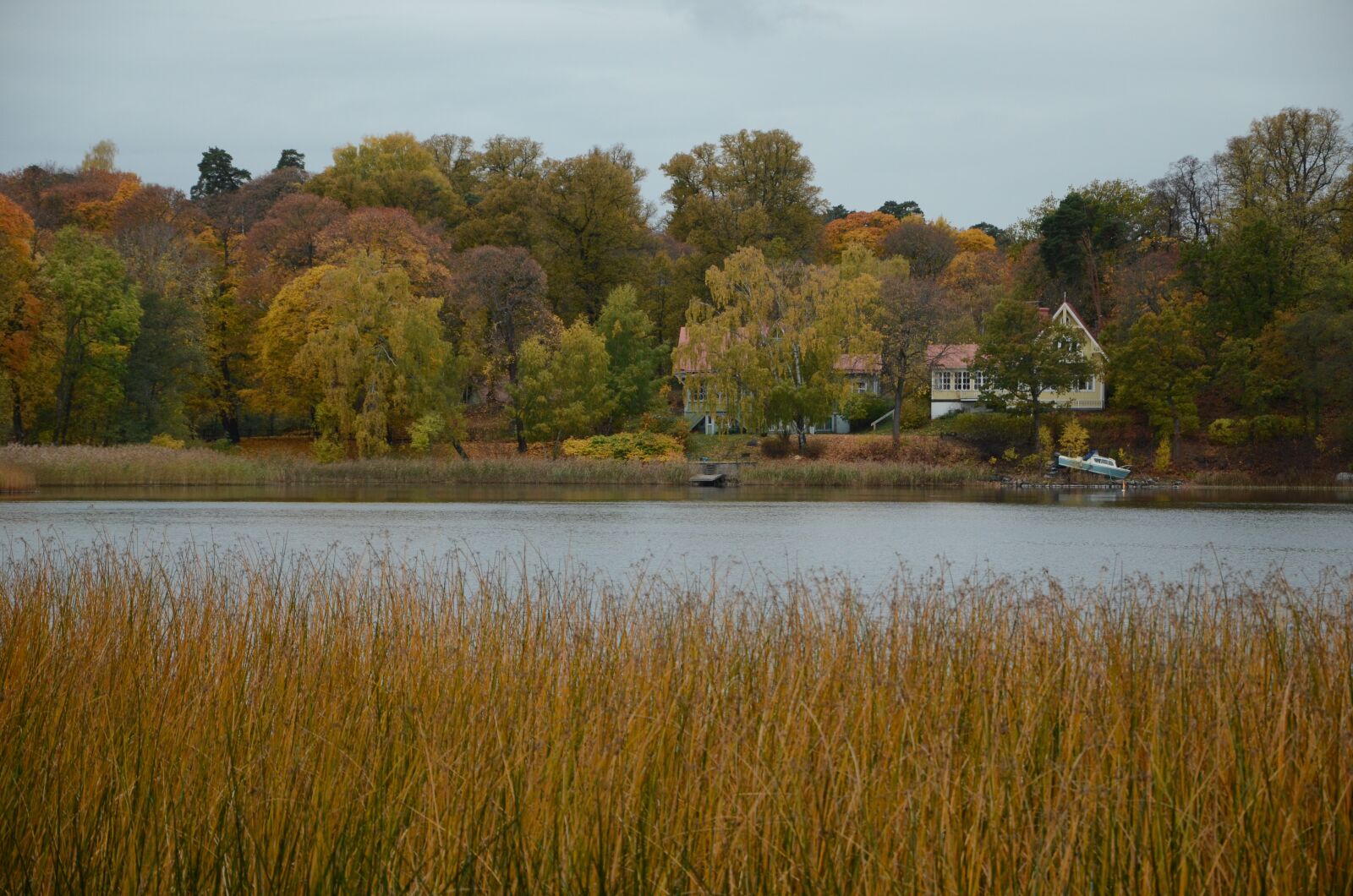 Nikon D7000 sample photo. Lake, autumn, water photography