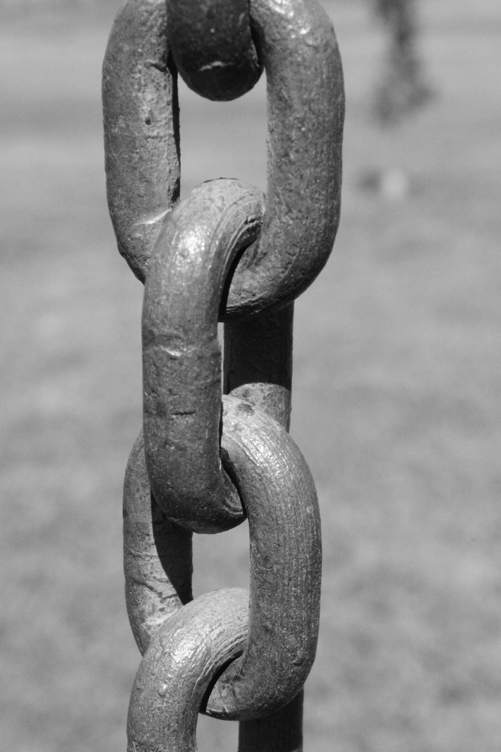 Nikon D5200 sample photo. Chain, metal, lift loads photography