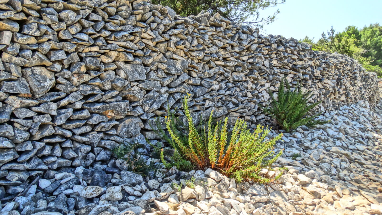 Sony Cyber-shot DSC-HX300 sample photo. Wall photography