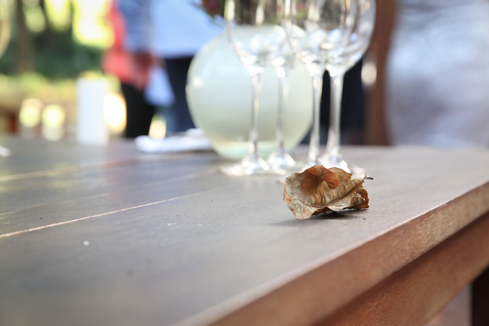 Canon EOS 5D Mark II sample photo. Leaves, party, traceyshawphotography, wedding photography