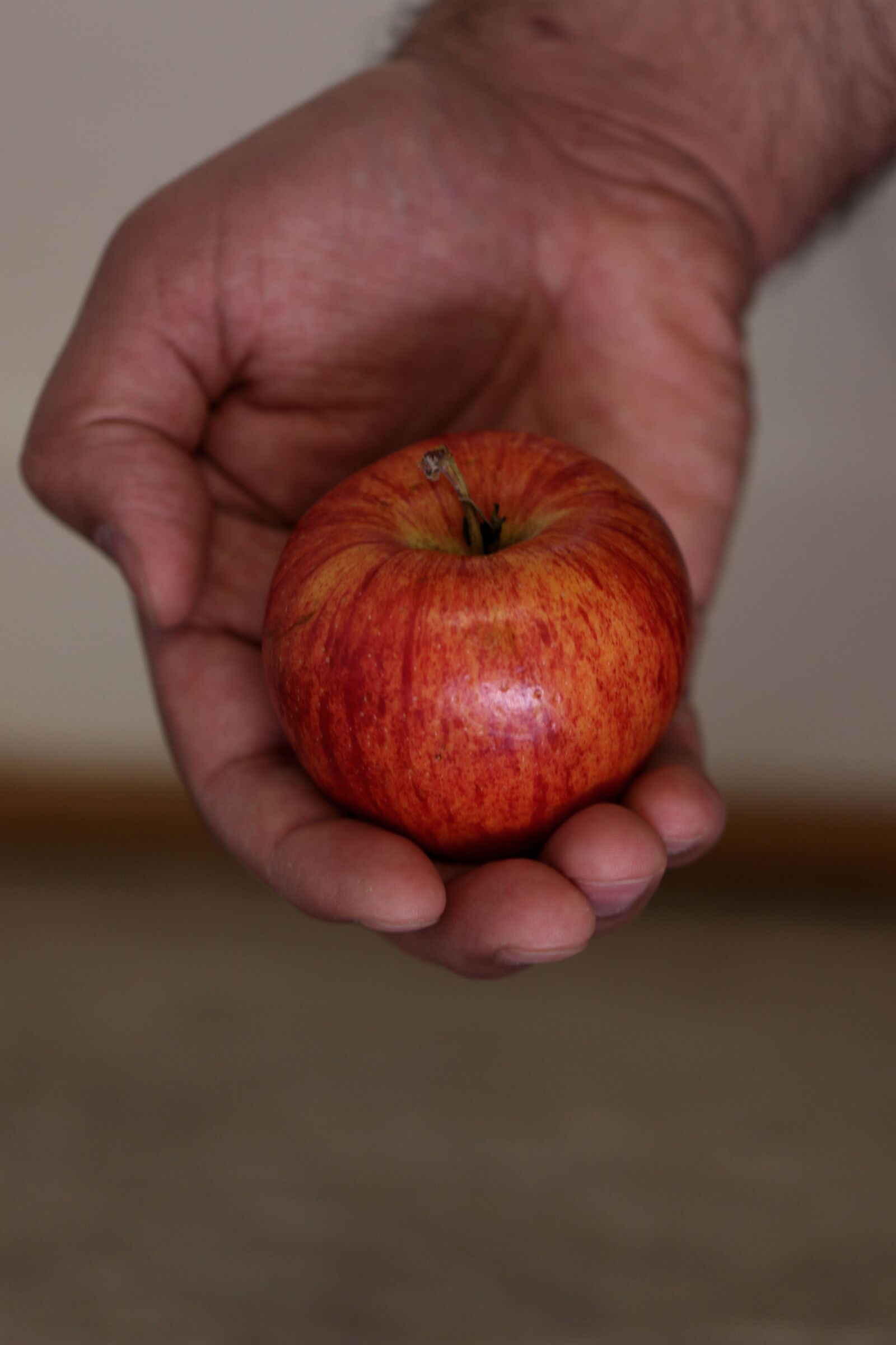 Canon EOS 7D Mark II sample photo. Apple, fruit, red photography
