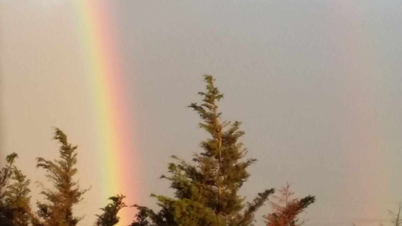Samsung Galaxy A3 sample photo. Rainbow photography