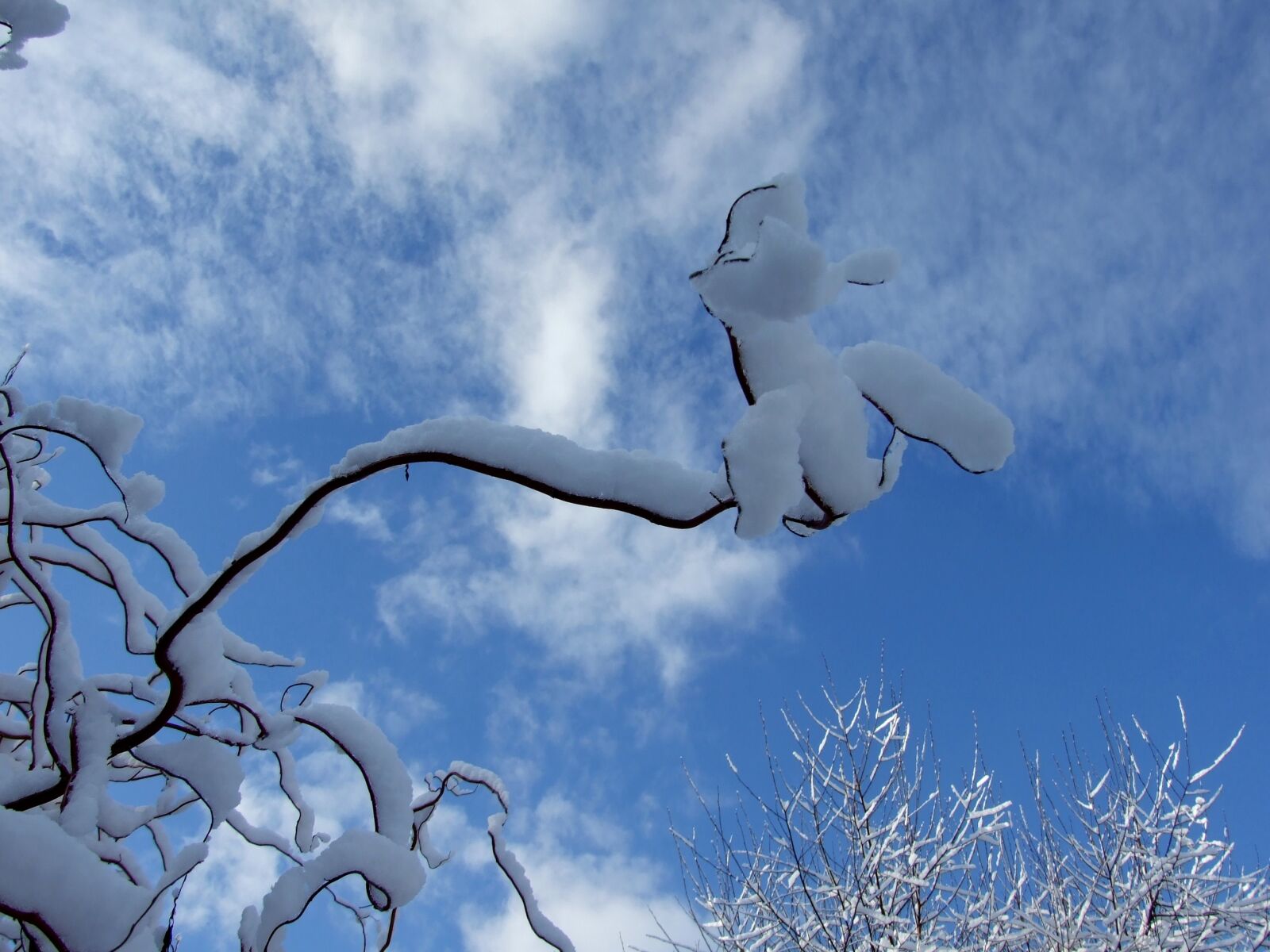 Fujifilm FinePix S6500fd sample photo. Winter, sky, snow photography