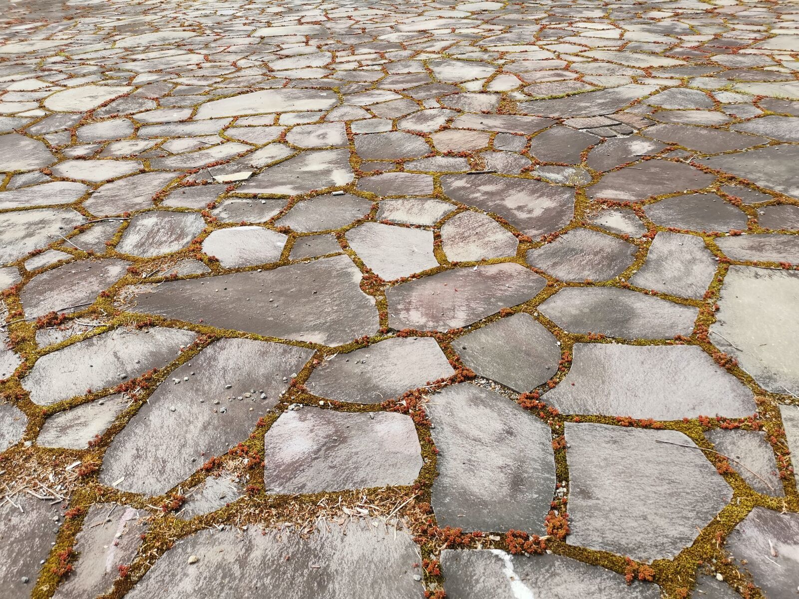 HUAWEI LYA-L29 sample photo. Tile, texture, road photography