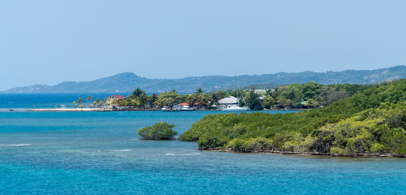 Sony a7R II + Sony FE 24-240mm F3.5-6.3 OSS sample photo. Honduras, roatan, nature photography