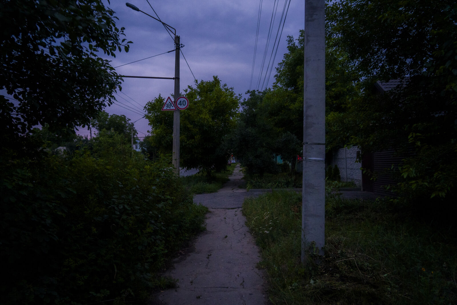 Sony a7 III + Sony FE 24-105mm F4 G OSS sample photo