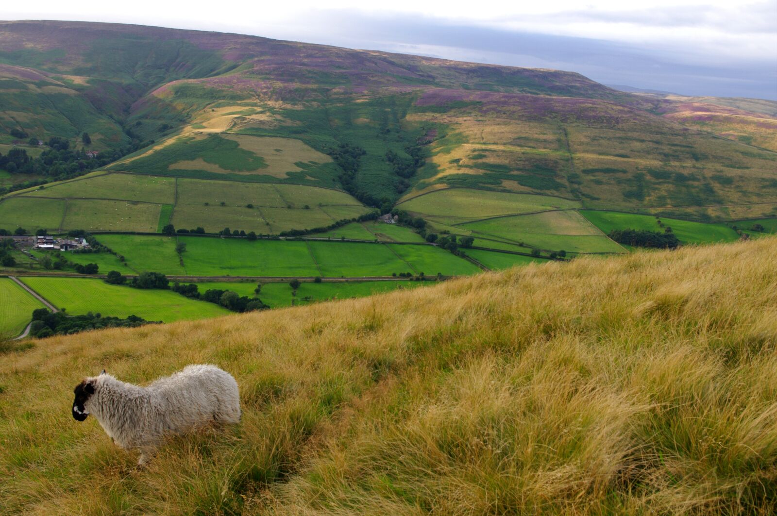 Pentax K-7 sample photo. Peak district, england, landscape photography