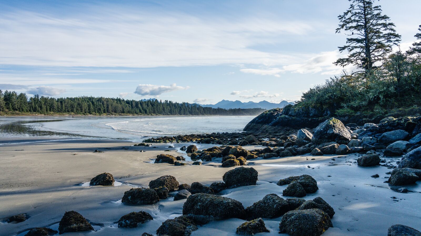 Sony FE 24-105mm F4 G OSS sample photo. Beach, tofino, vancouver island photography