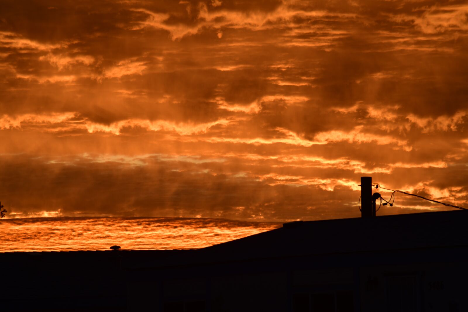 Nikon D850 sample photo. Sunrise, orange, sky photography