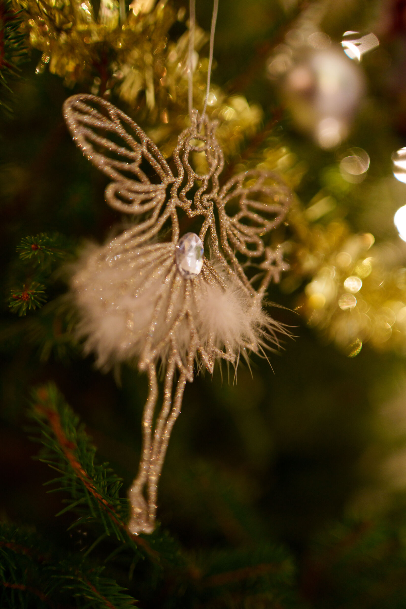 Samyang AF 35mm F1.4 P sample photo. Angel tree photography