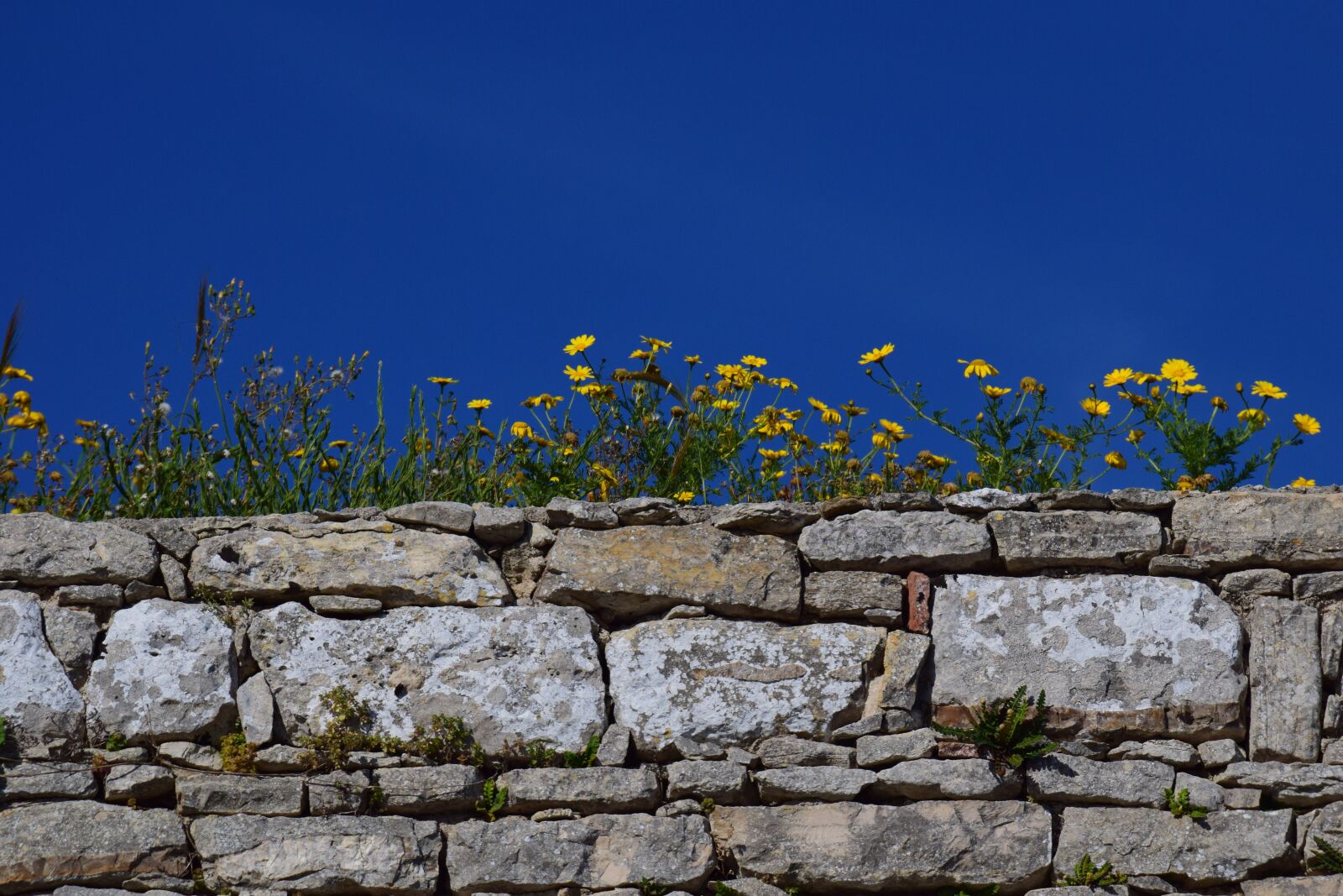 Nikon D3300 sample photo. Wall, sky, stone photography