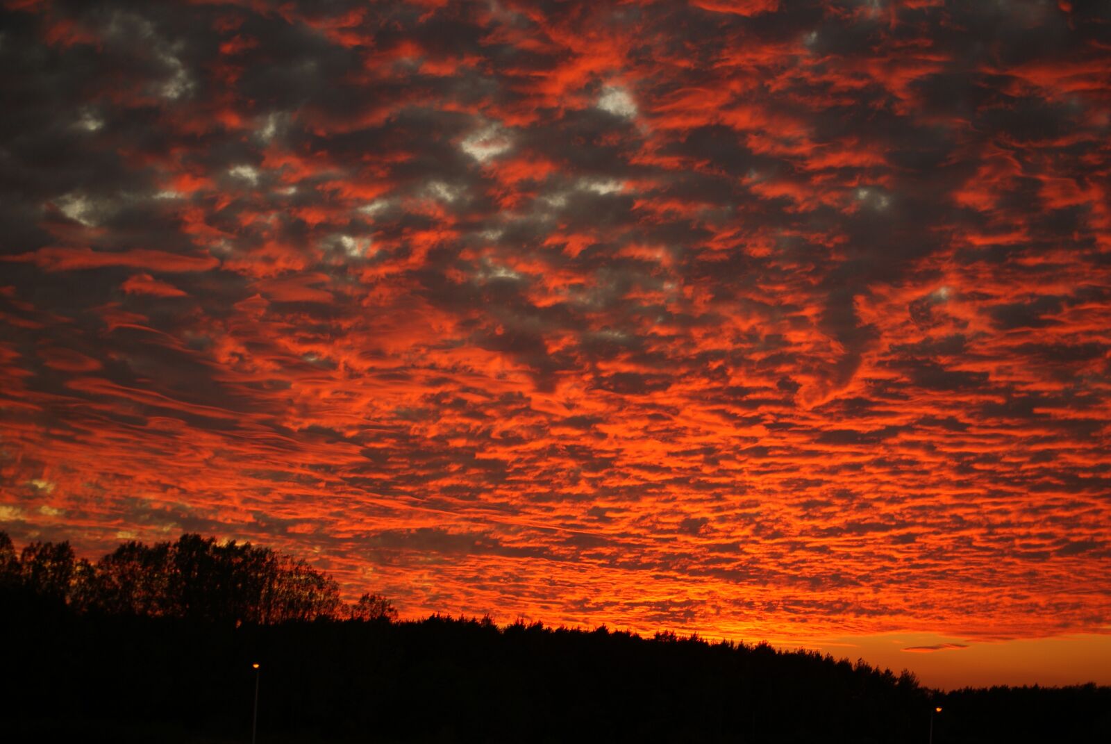 Sony Alpha DSLR-A330 sample photo. Sky, clouds, red photography