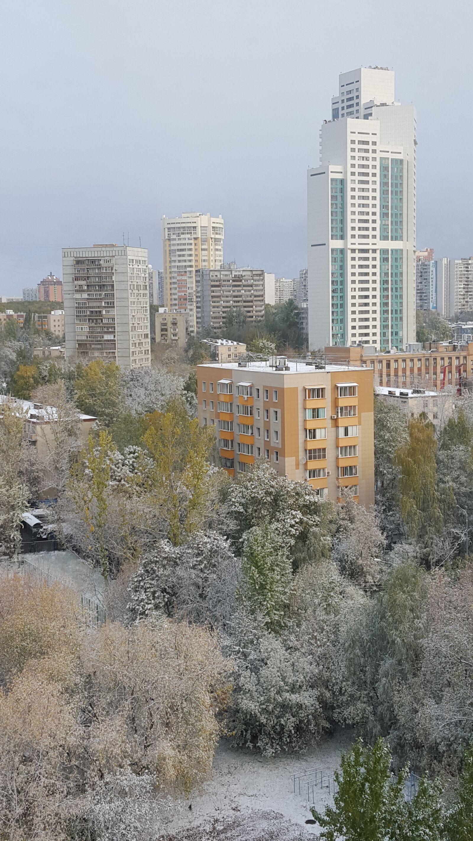 Samsung GALAXY S6 edge sample photo. The first snow, snow photography