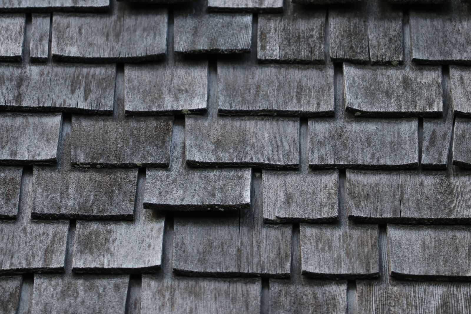 Canon EF-S 55-250mm F4-5.6 IS STM sample photo. Texture, wood, pattern photography