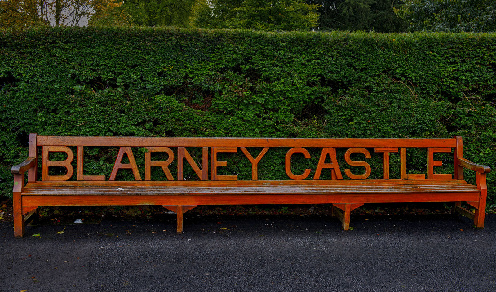 Nikon D800 + Nikon AF-S Nikkor 24-70mm F2.8G ED sample photo. Bench, blarney, castle, garden photography