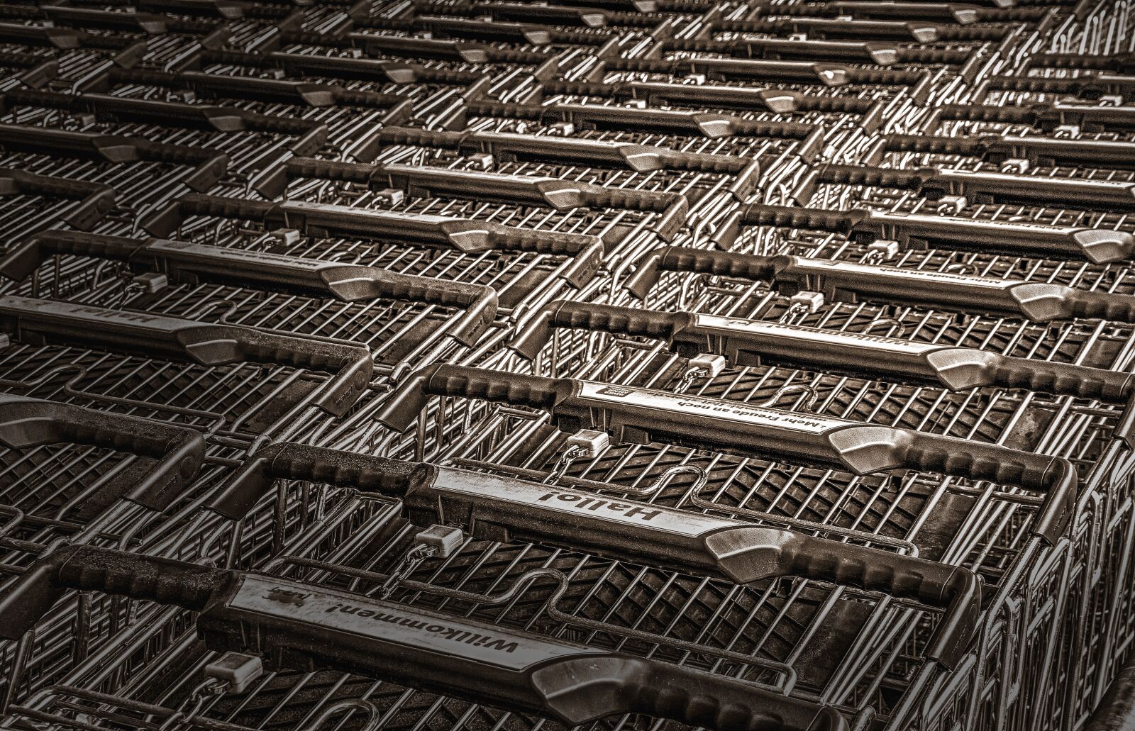 Canon EOS 60D sample photo. Shopping cart, shopping, purchasing photography