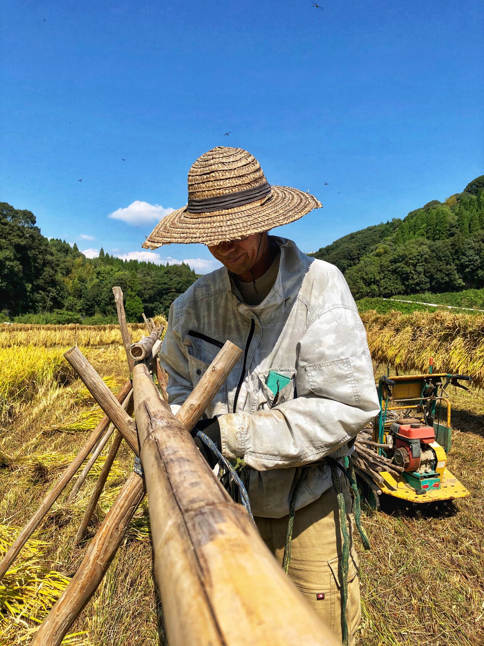 iPhone 8 Plus back dual camera 3.99mm f/1.8 sample photo. Japan, rice farming, farm photography