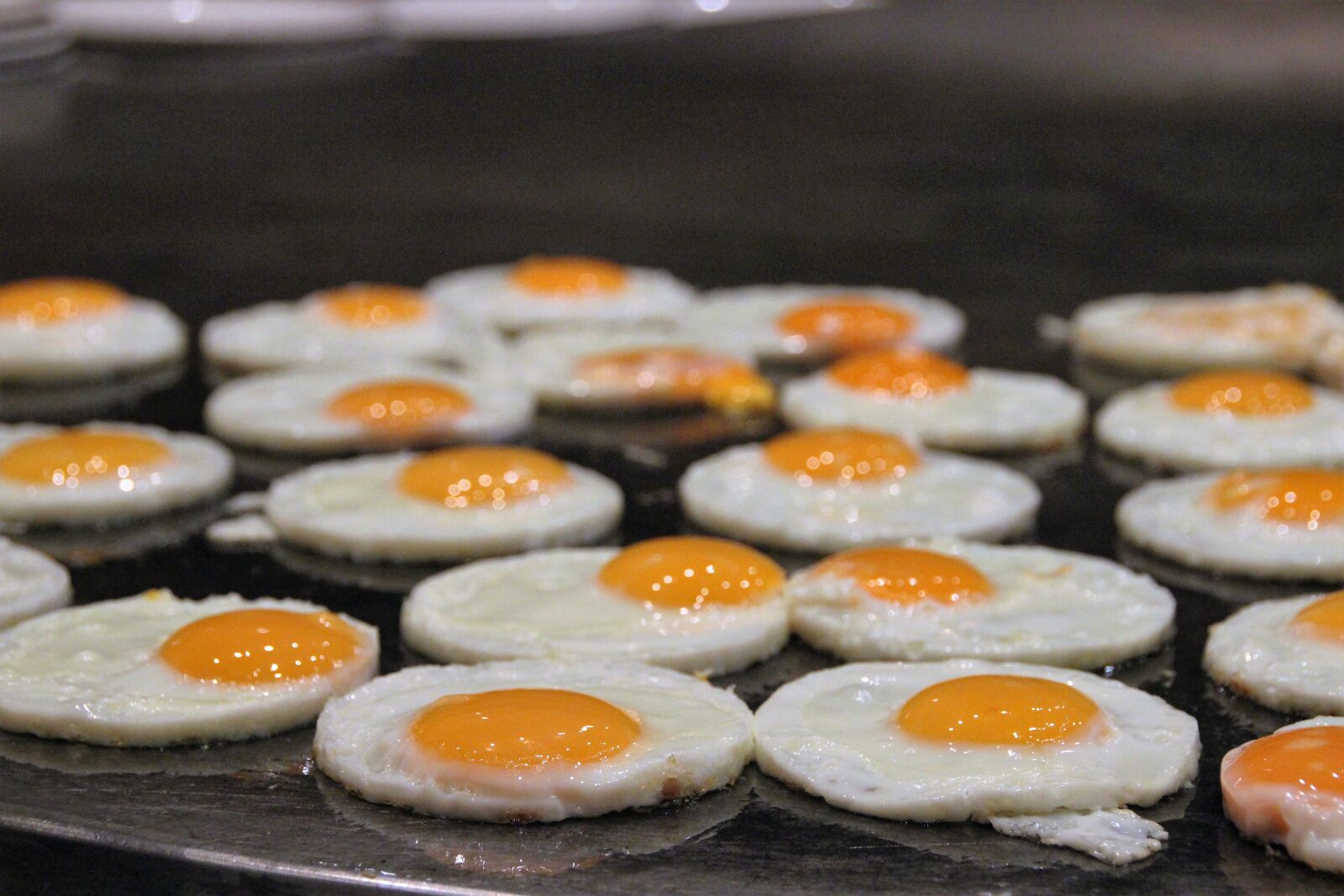 Canon EOS 600D (Rebel EOS T3i / EOS Kiss X5) sample photo. Fried, buffet, gastronomy photography