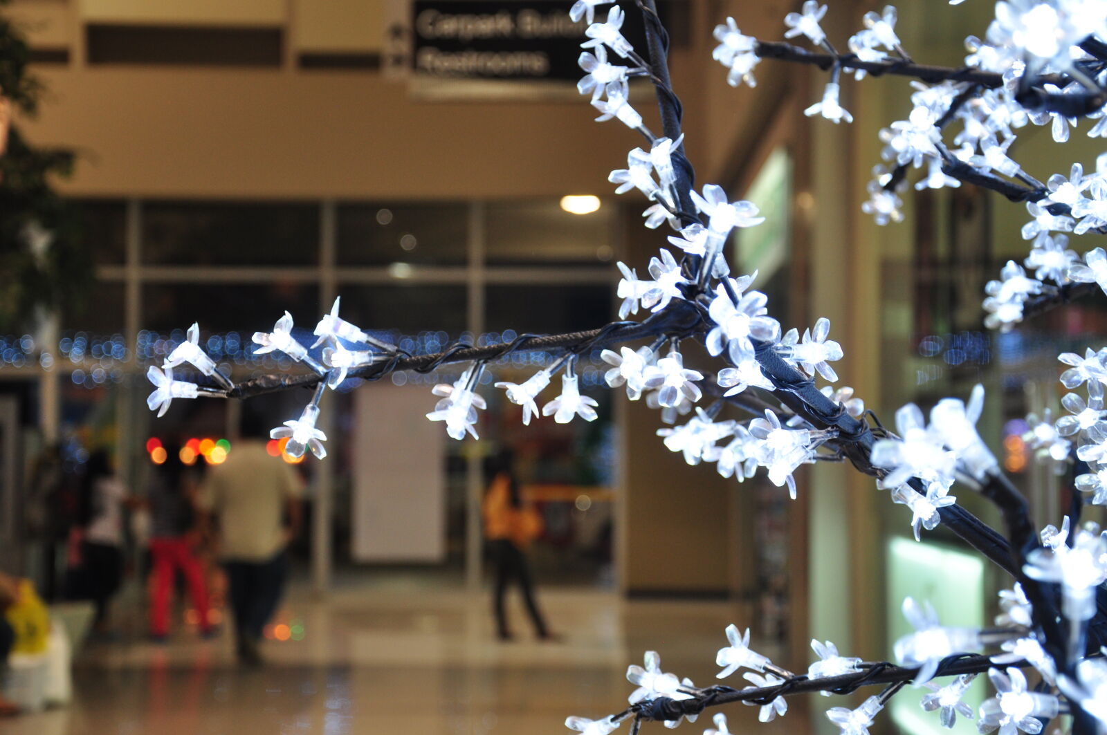 Nikon D90 sample photo. Decoration, flowers, light photography