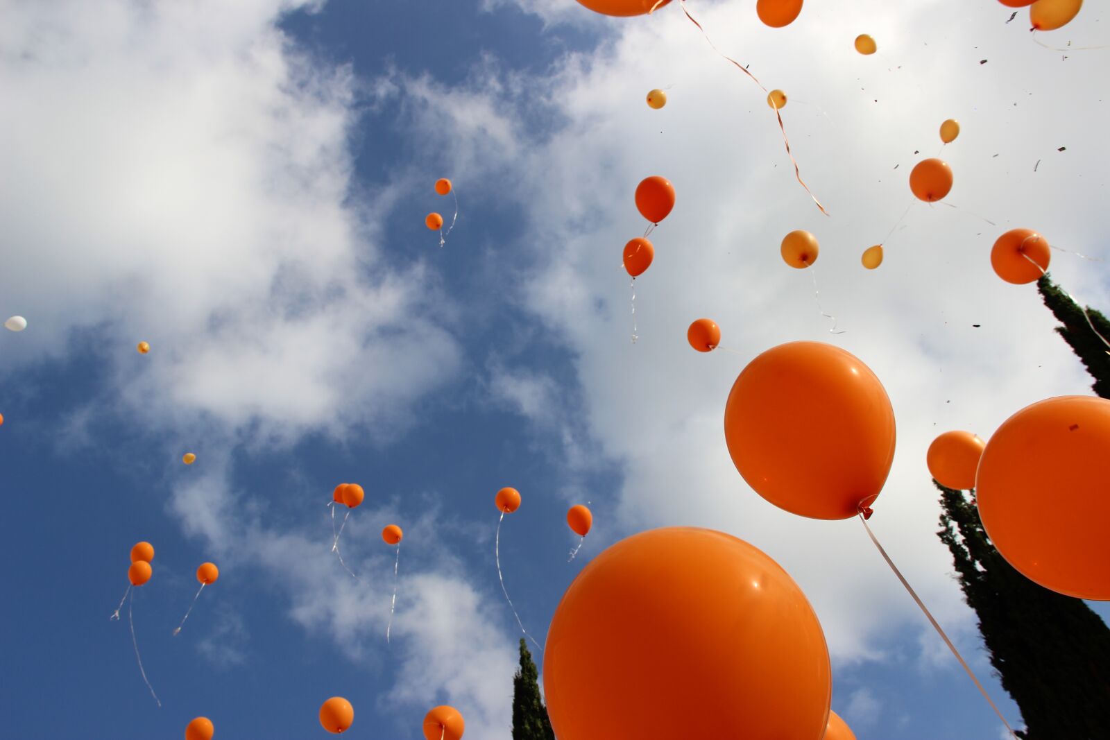 Canon EF-S 18-135mm F3.5-5.6 IS sample photo. Balls, sky, orange photography