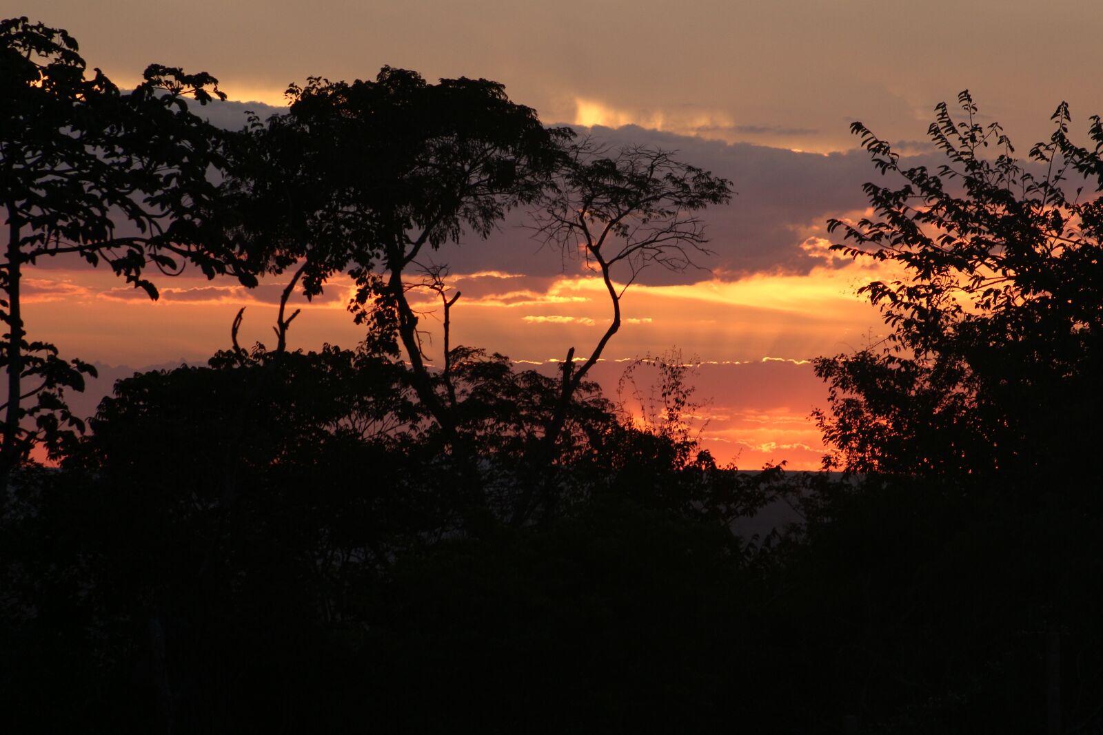 Canon EF 75-300mm f/4-5.6 sample photo. Nature, ceará, brazil photography