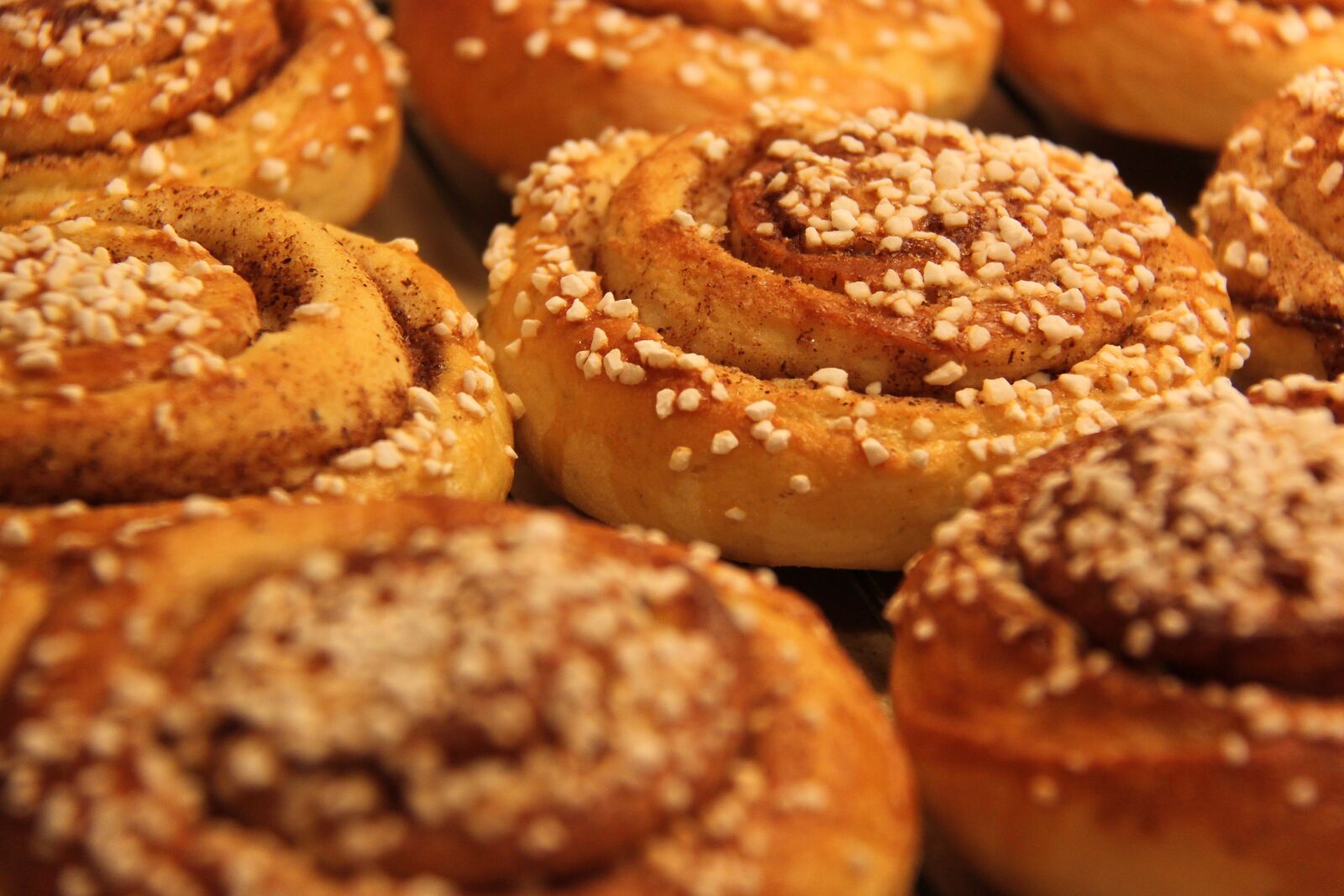 Canon EOS 500D (EOS Rebel T1i / EOS Kiss X3) sample photo. Buns, cinnamon, nib sugar photography