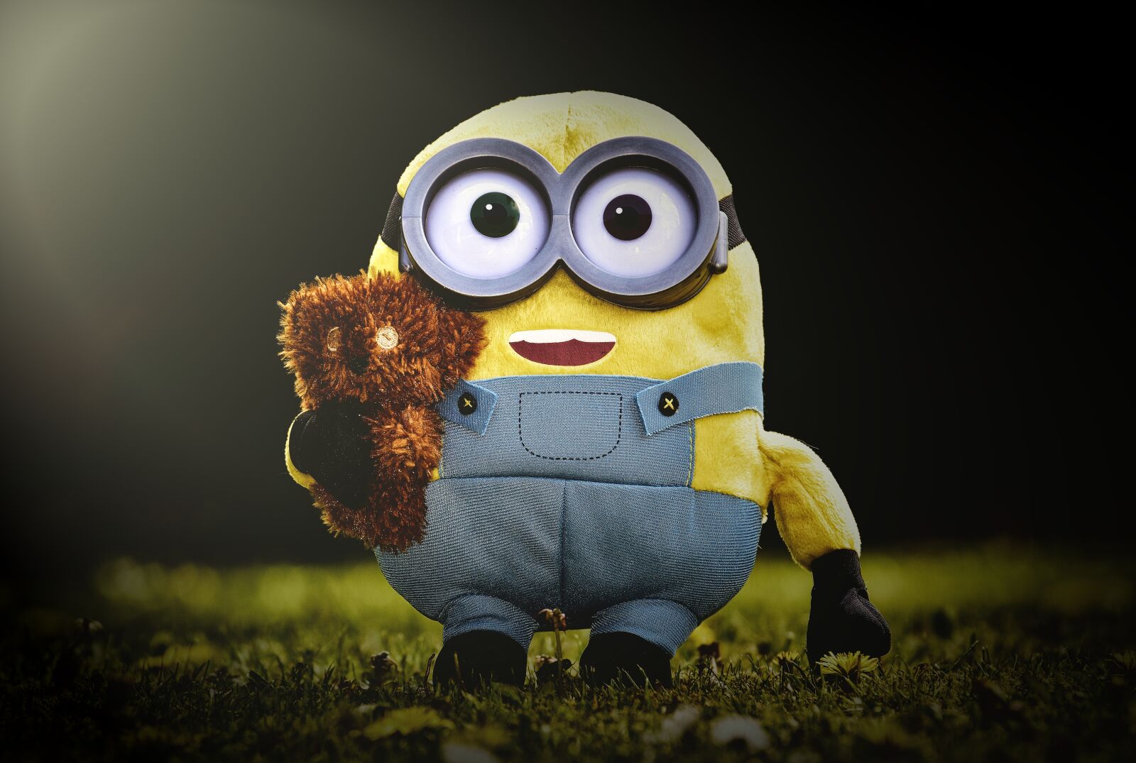 Nikon D3200 sample photo. Minion, funny, figure photography