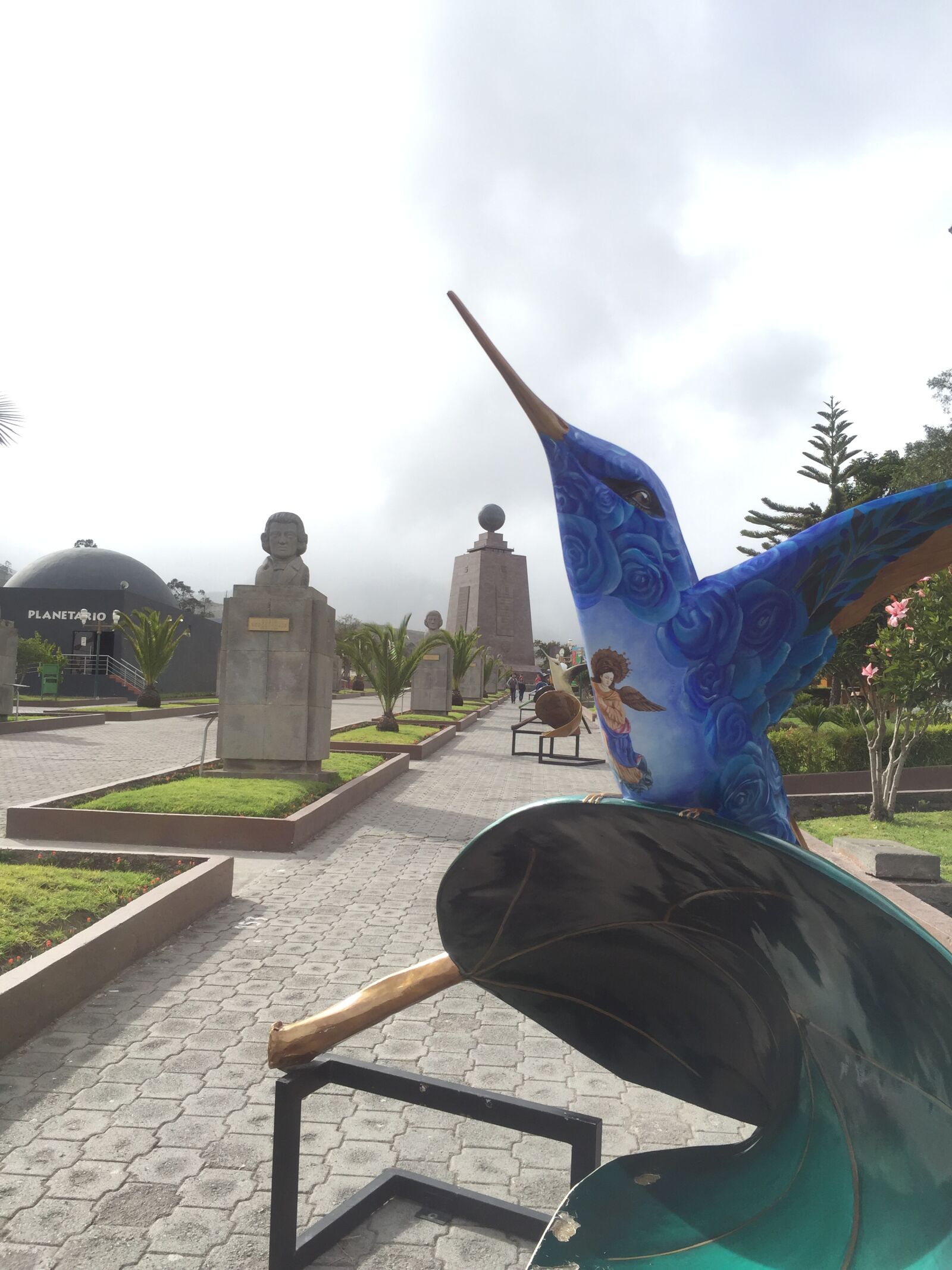 iPhone 6 back camera 4.15mm f/2.2 sample photo. Hummingbird, half, world photography