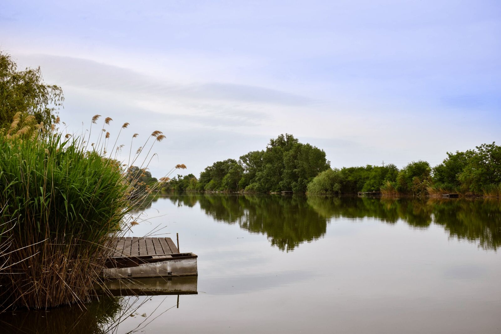 Nikon D3500 sample photo. Lake, landscape, nature photography