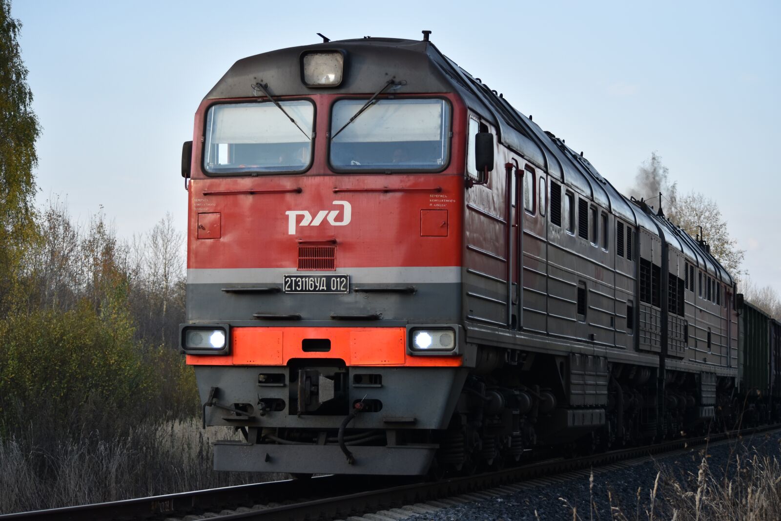 Nikon D5500 sample photo. Nature, technique, diesel locomotive photography