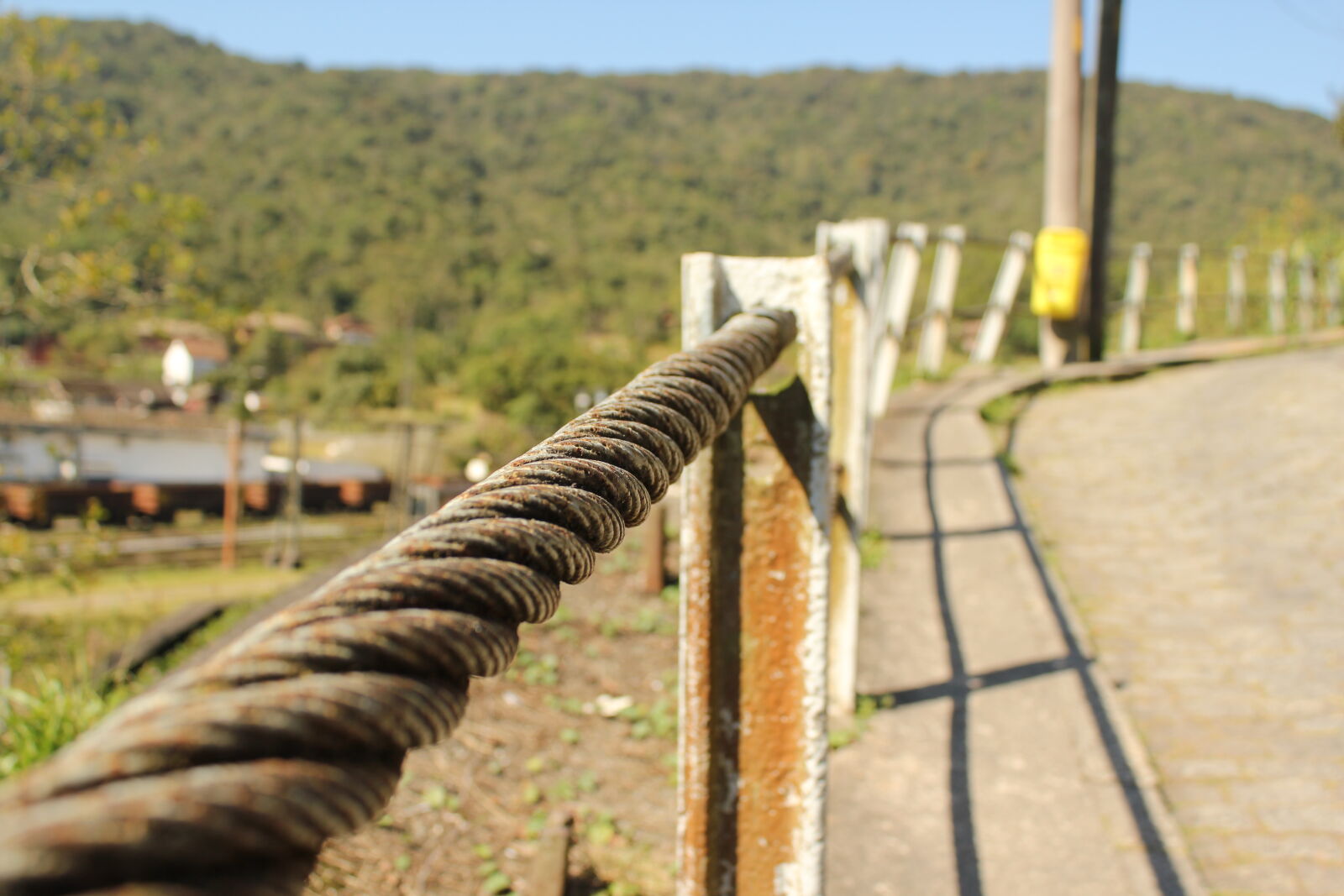 Canon EOS 550D (EOS Rebel T2i / EOS Kiss X4) sample photo. Adobe, photoshop, apple, brasil photography