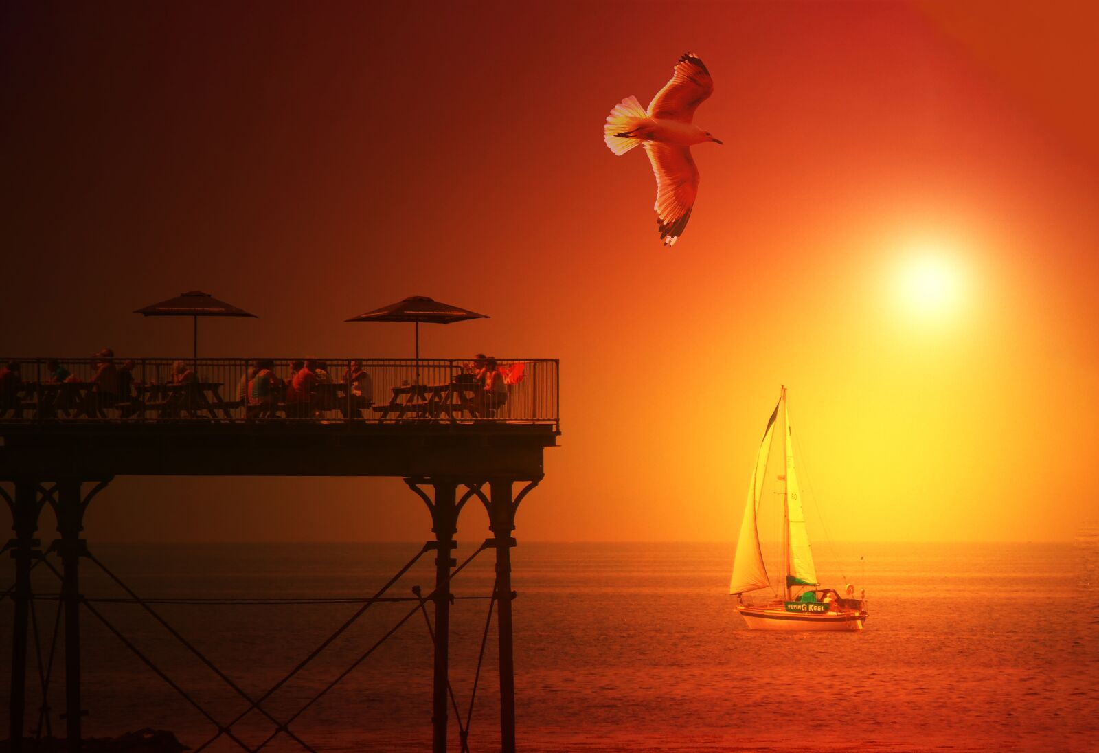 Samsung Galaxy Camera (Wi-Fi) sample photo. Sunset, bird, boat photography
