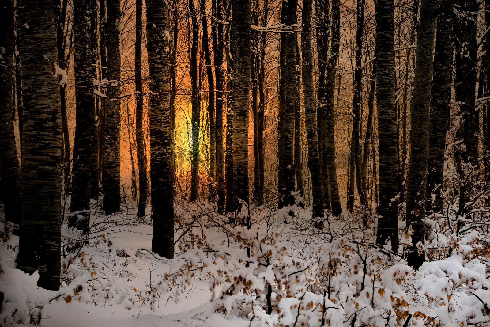 Nikon D5300 sample photo. Snow, winter, cold photography