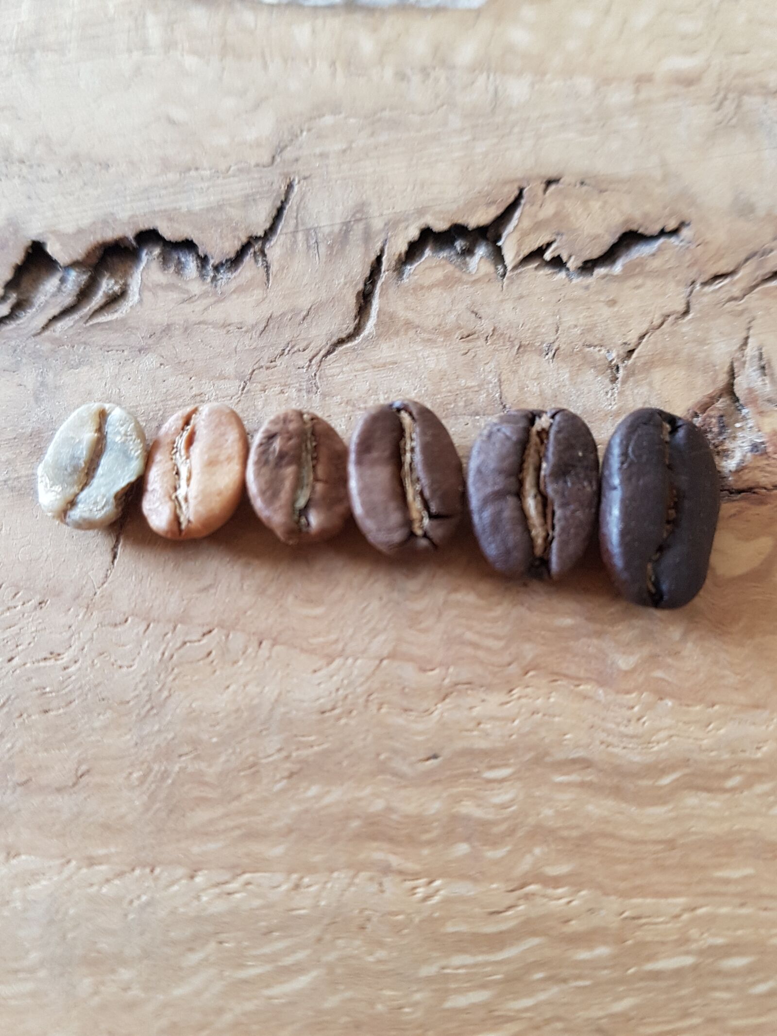 Samsung Galaxy S7 sample photo. Bio, espresso, roasting photography