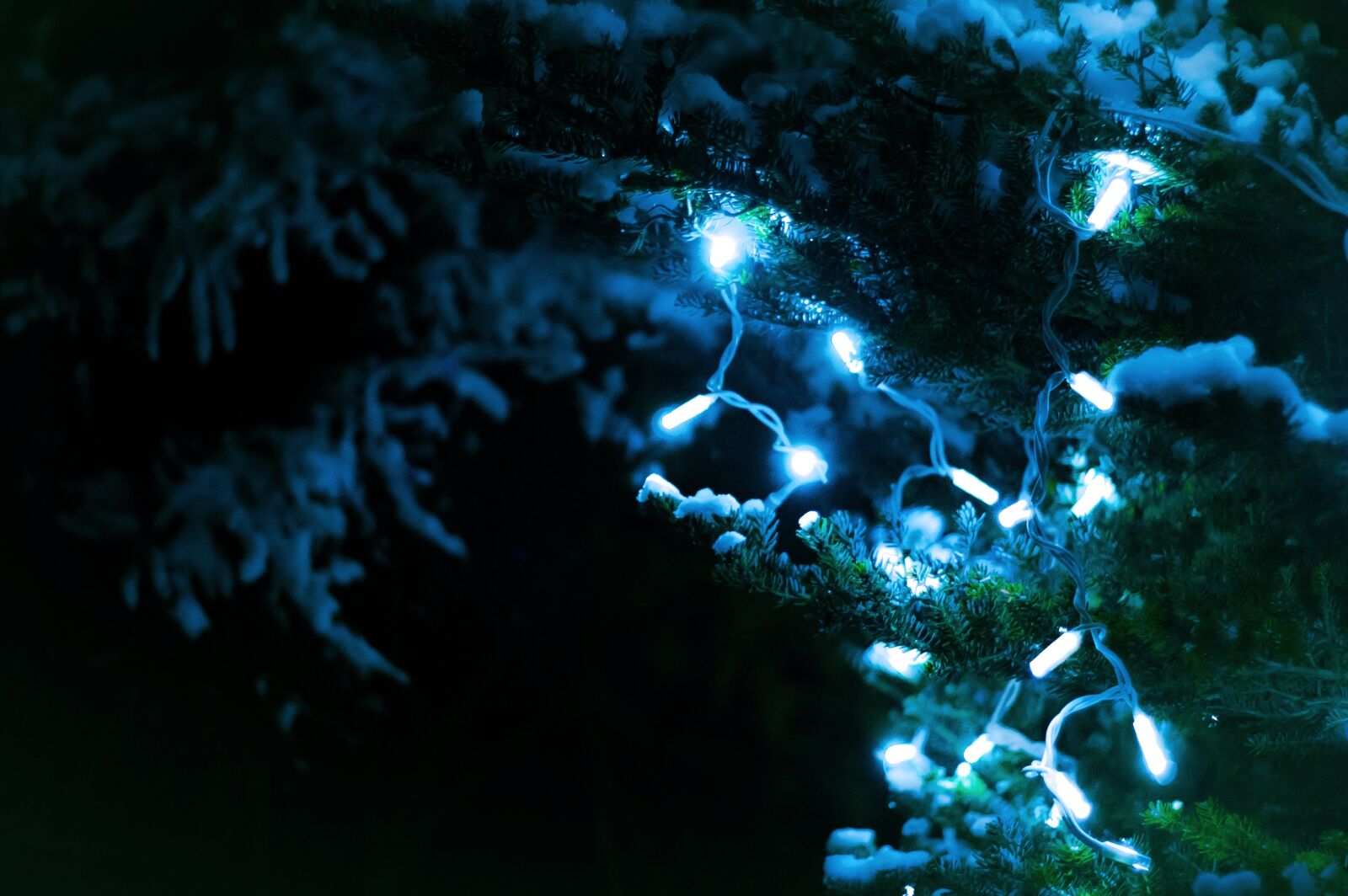 KONICA MINOLTA DYNAX 7D sample photo. Christmas, lights, tree photography