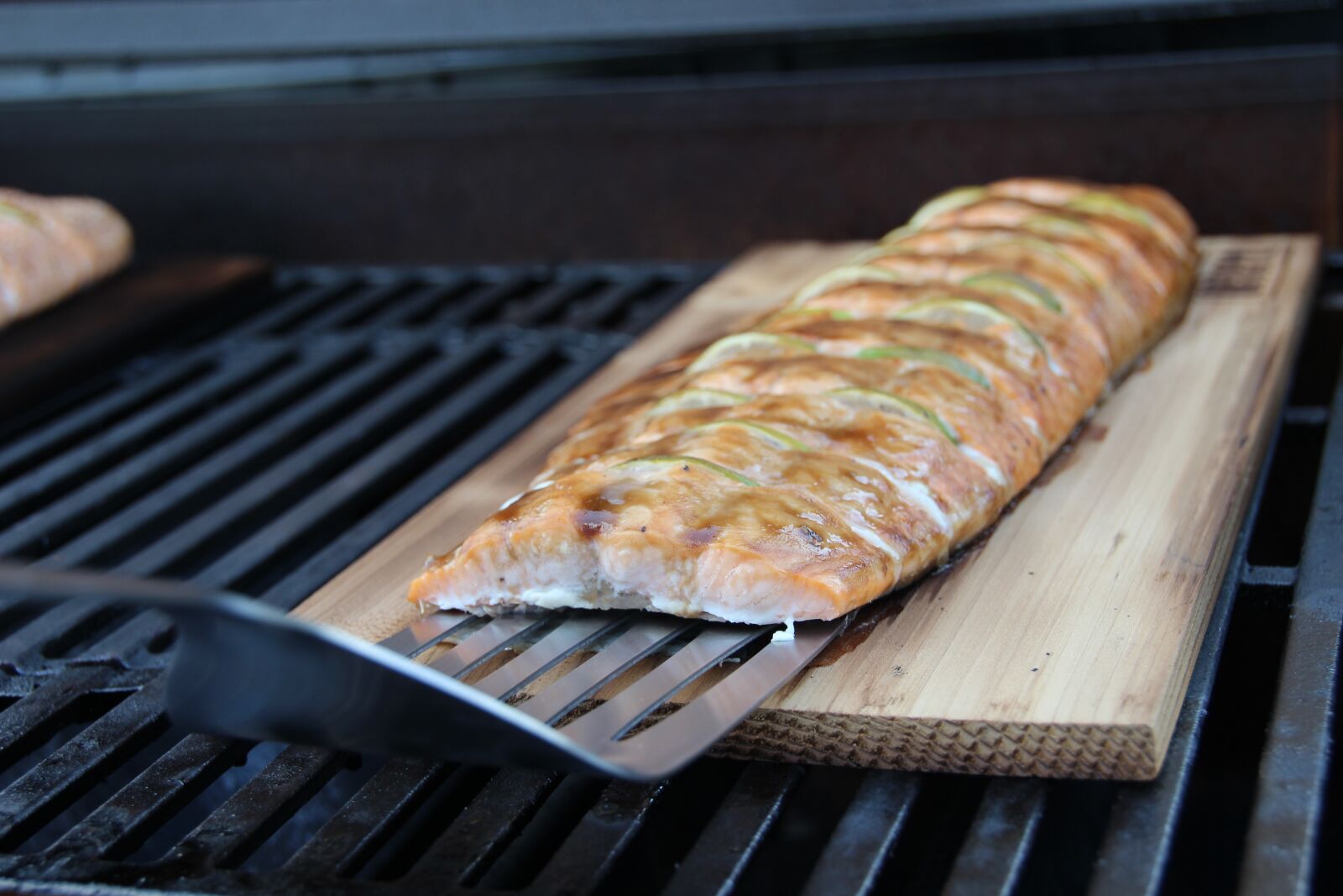 Canon EOS 600D (Rebel EOS T3i / EOS Kiss X5) sample photo. Fish, barbecue, grill photography