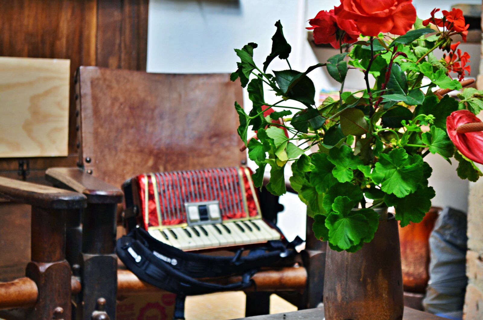 Nikon D5100 sample photo. Accordion, flowers, plants photography