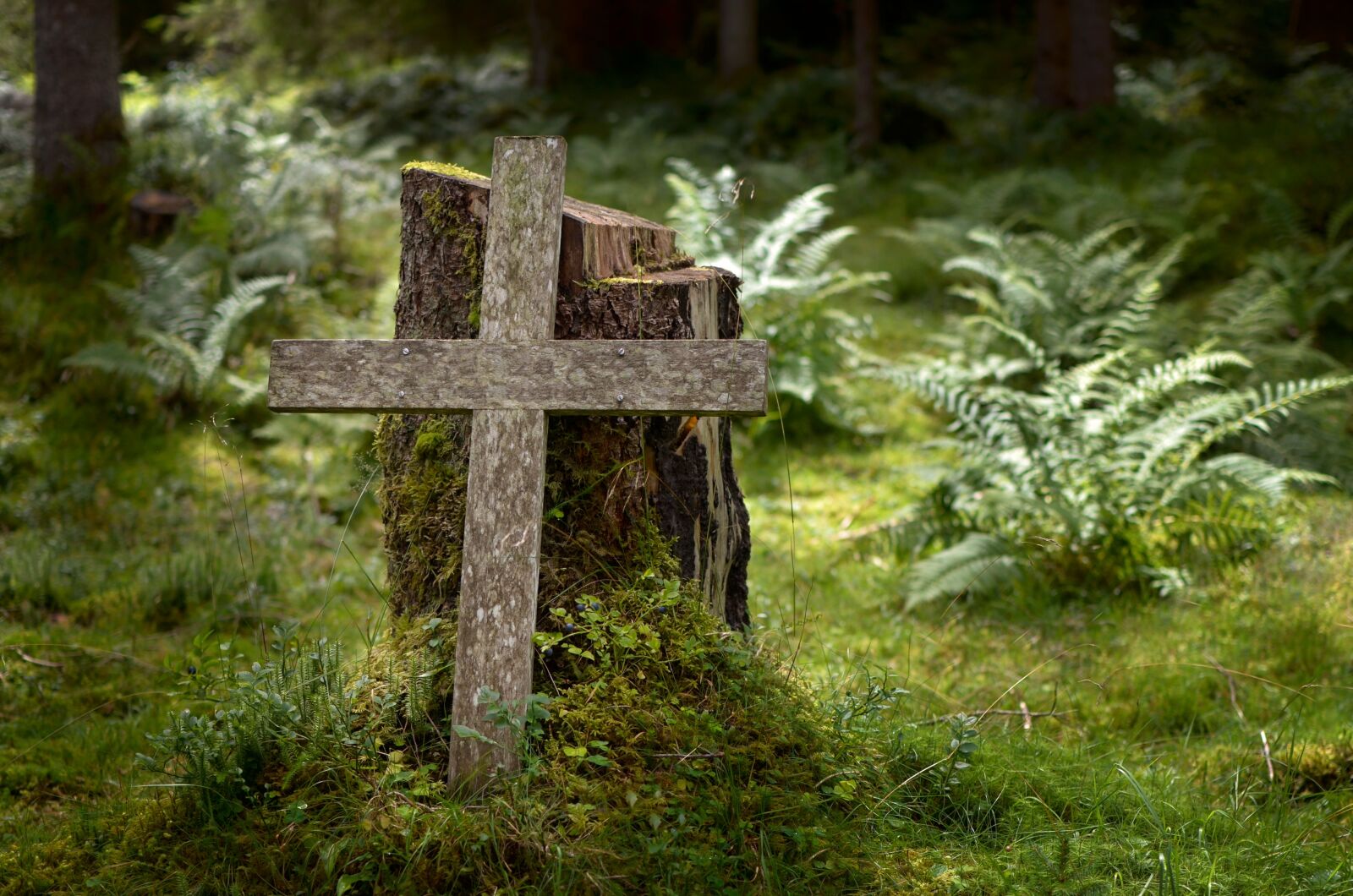 Nikon D7000 sample photo. Cross, forest, death photography
