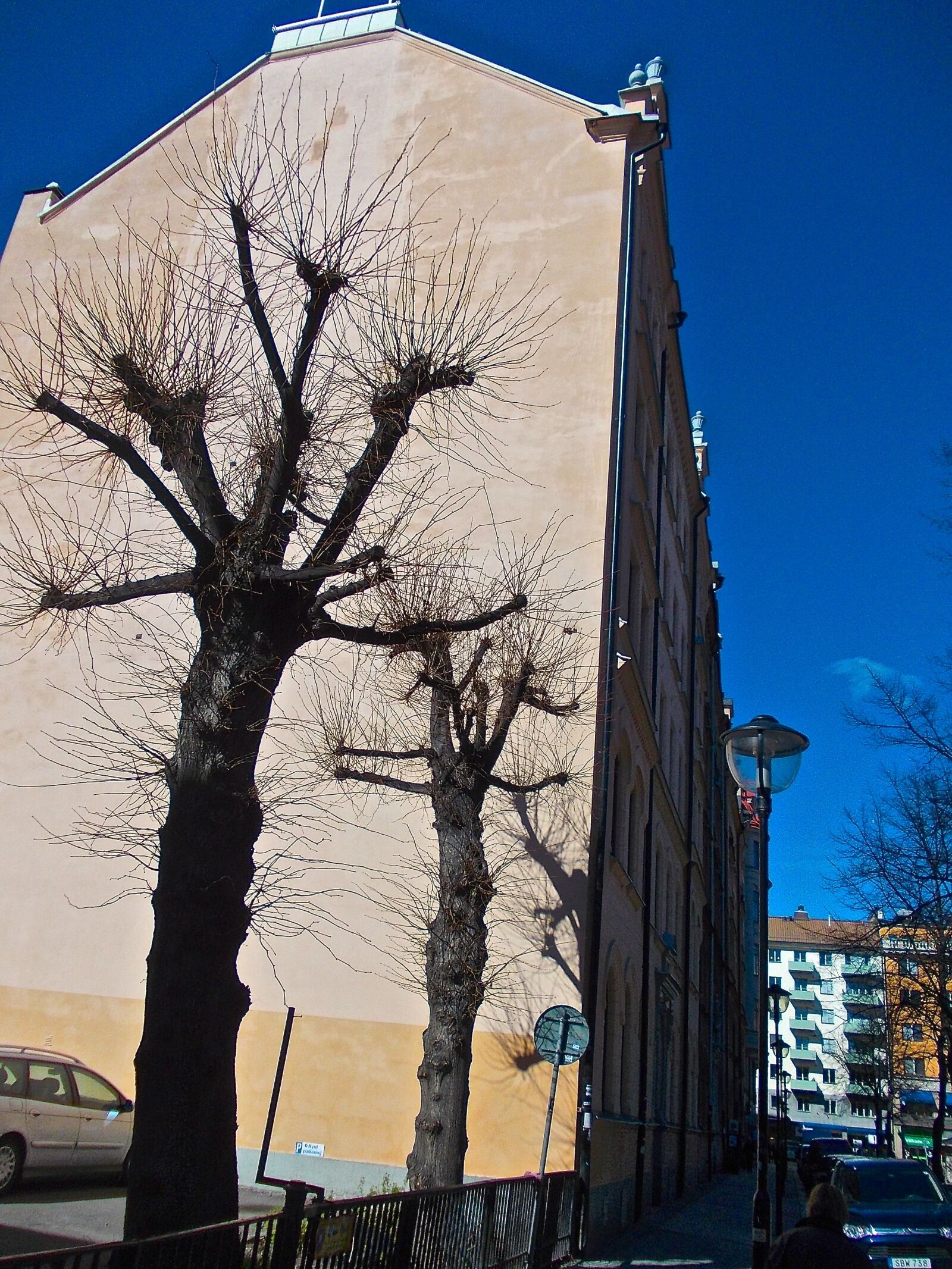 Nikon COOLPIX L25 sample photo. Facade, tree shade, mariatorget photography