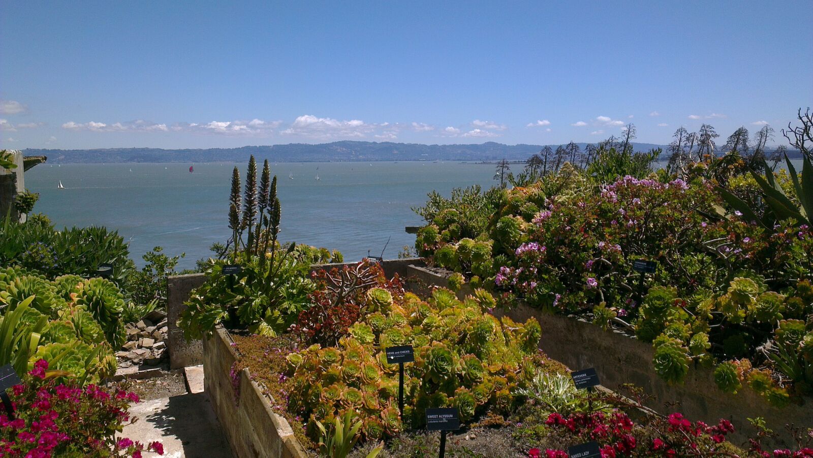 HTC ONE X sample photo. Alcatraz, san francisco, travel photography