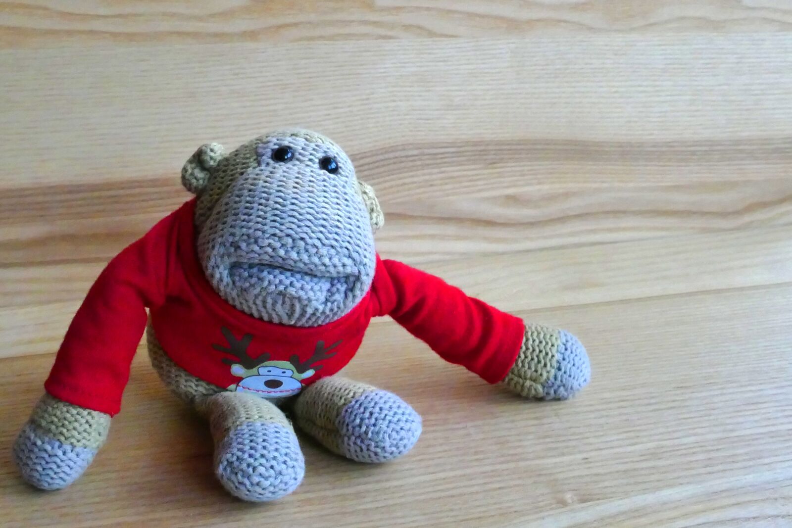 Panasonic Lumix DMC-FZ1000 sample photo. Cute, monkey, play, stuffed photography