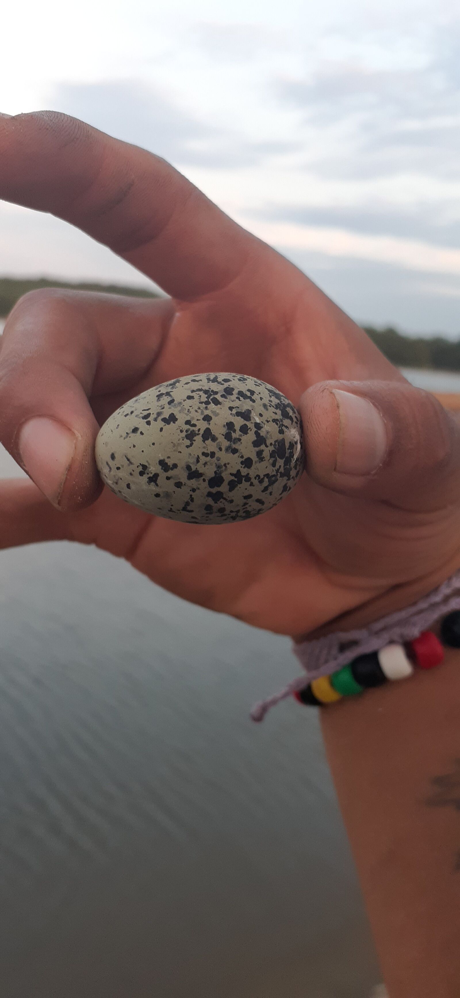 Samsung Galaxy A20 sample photo. Hand, egg, handle photography