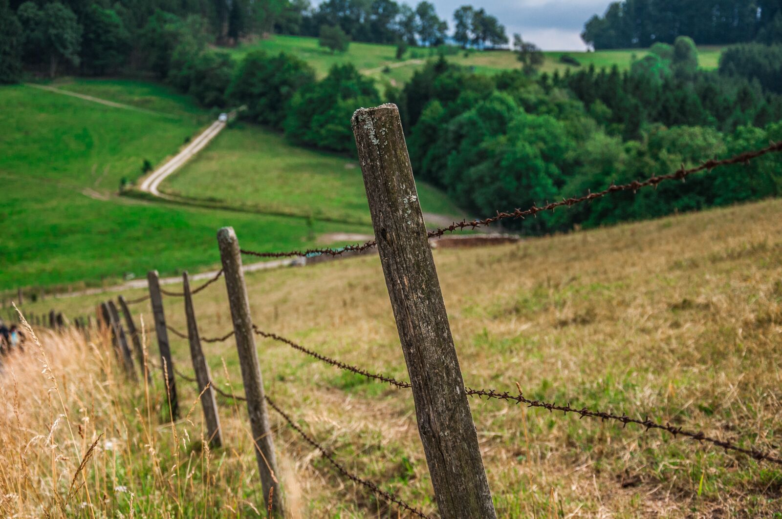 Nikon D90 sample photo. Path, fence, field photography