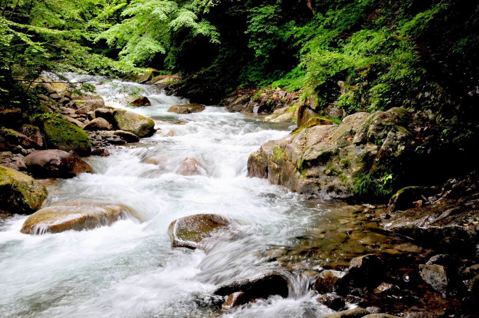 Nikon D300 sample photo. Water, river, valley photography