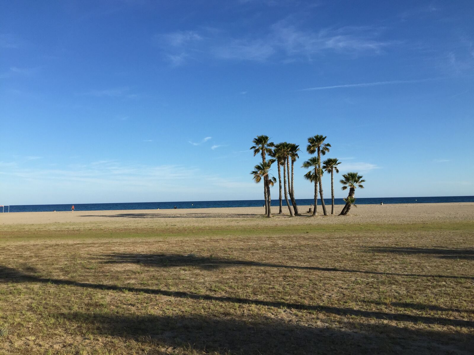 iPhone 6 Plus back camera 4.15mm f/2.2 sample photo. Beach, palms, holiday photography