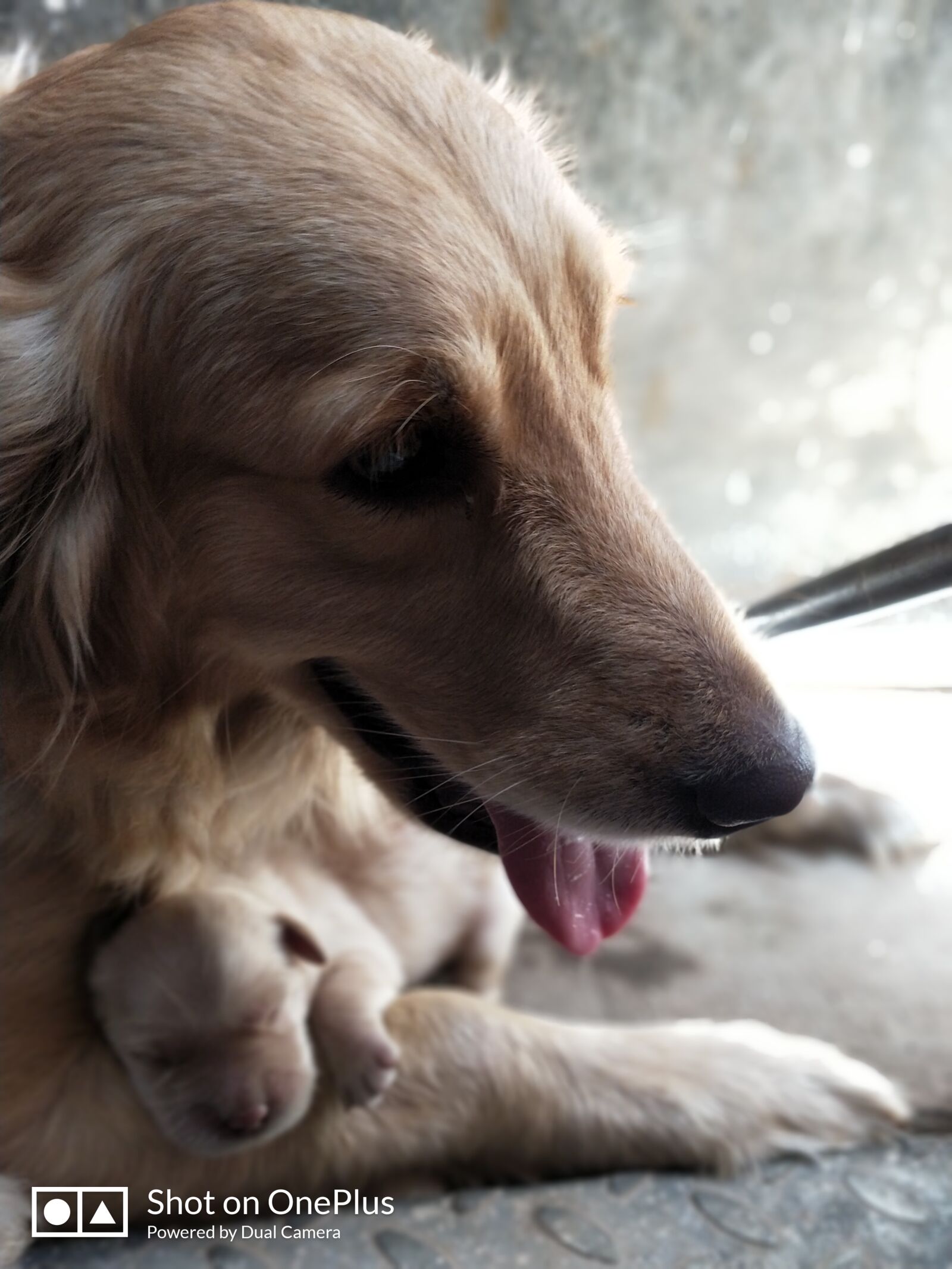 OnePlus 5 sample photo