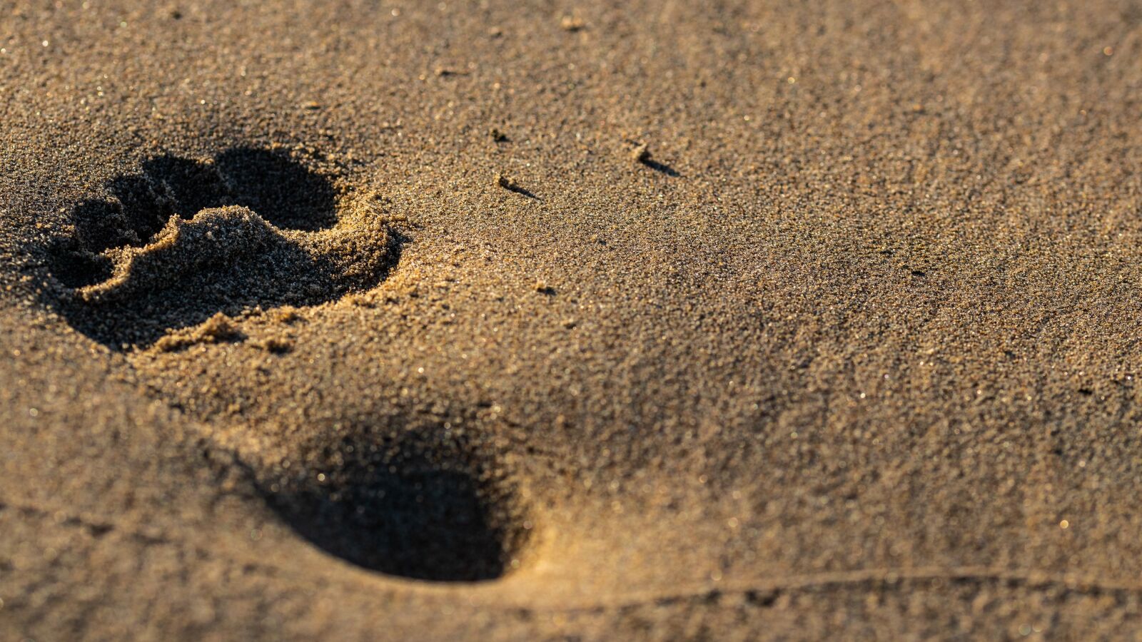 Canon EOS 80D sample photo. Beach, foot, vacations photography