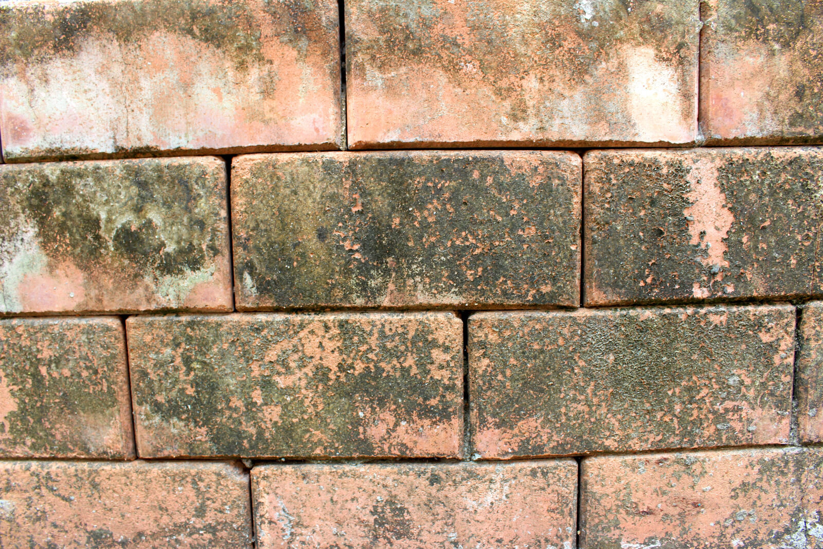 Canon EOS 650D (EOS Rebel T4i / EOS Kiss X6i) sample photo. Bricks, ceramic, close, up photography